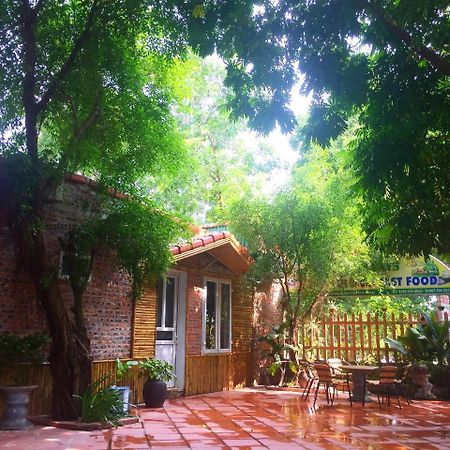 Tam Coc Green Fields Homestay Ninh Binh Dış mekan fotoğraf