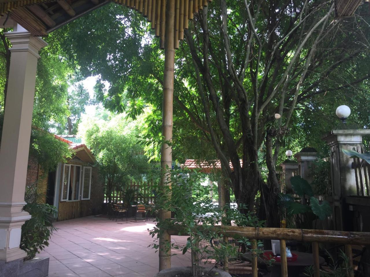 Tam Coc Green Fields Homestay Ninh Binh Dış mekan fotoğraf