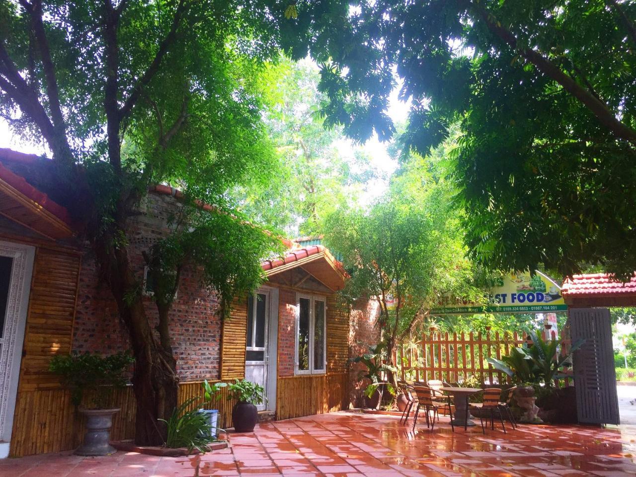 Tam Coc Green Fields Homestay Ninh Binh Dış mekan fotoğraf