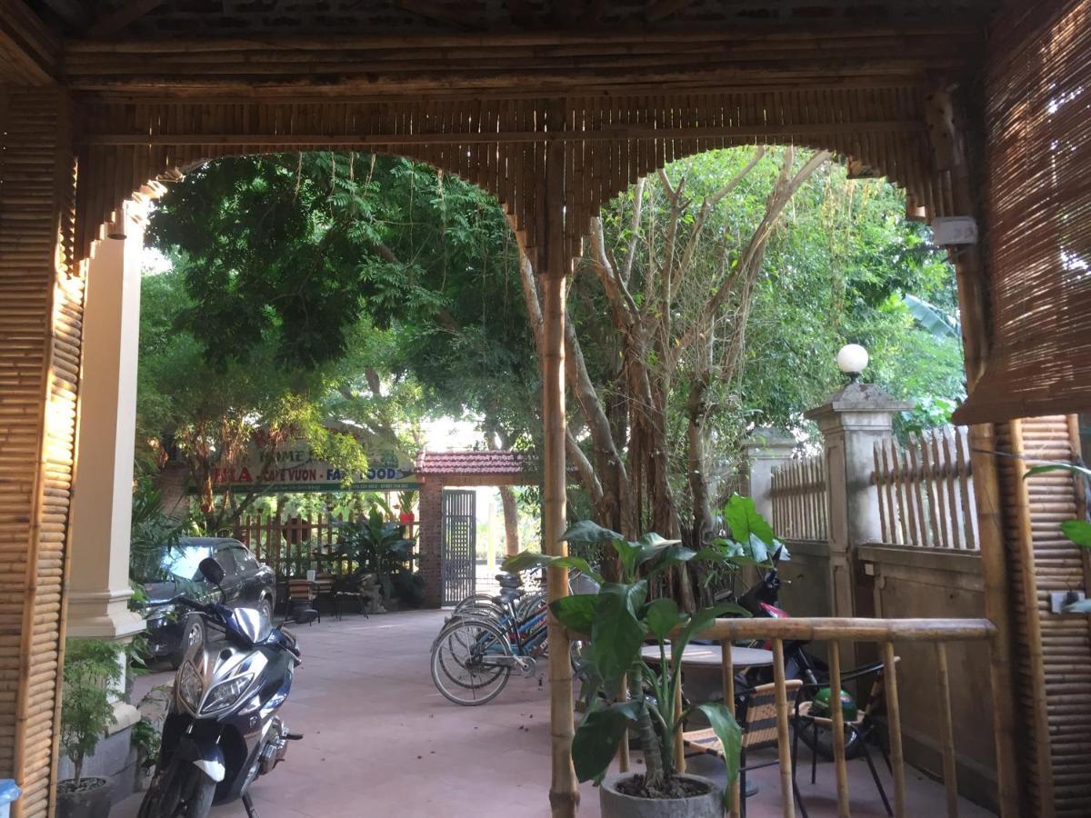Tam Coc Green Fields Homestay Ninh Binh Dış mekan fotoğraf